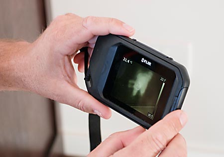 flir termite inspection