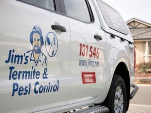 Pest Control Hamilton