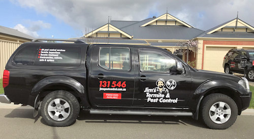 Pest Exterminator Adelaide