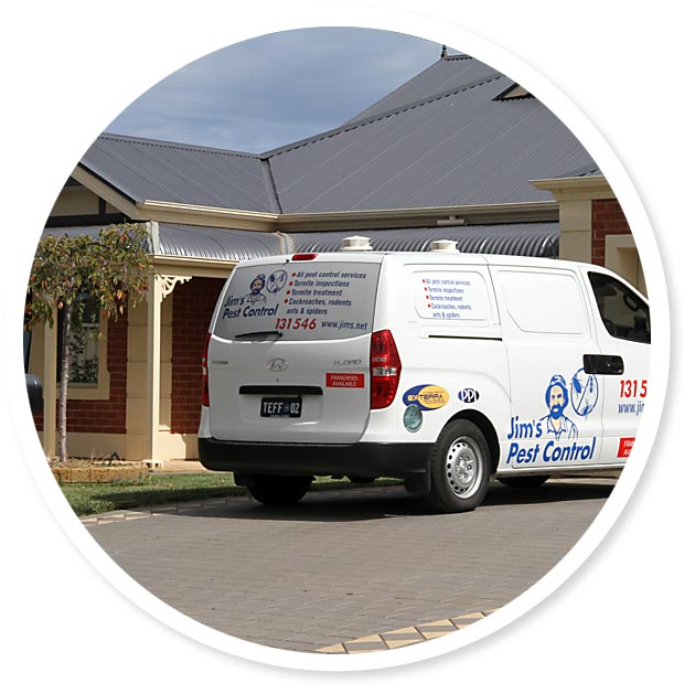 Pest Control Modbury